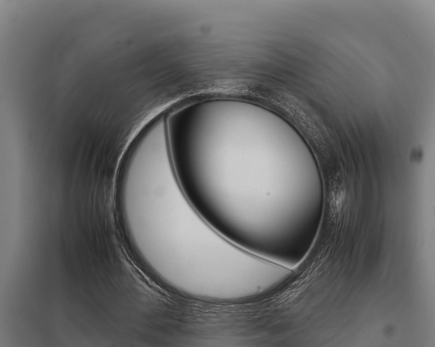 X0000098040484200803280757