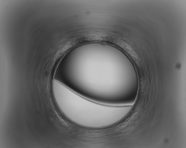 X0000098040489200803280757