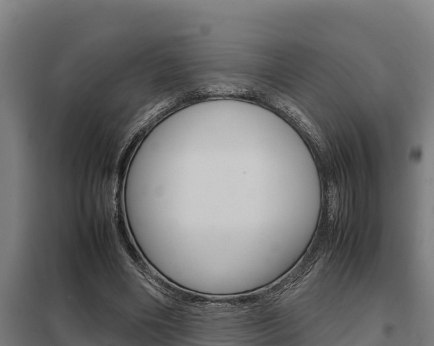 X0000098040490200803280757