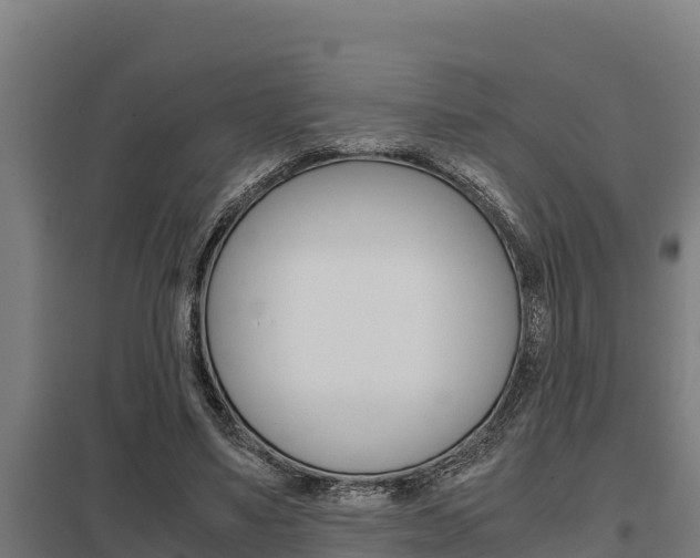 X0000098040491200803280757