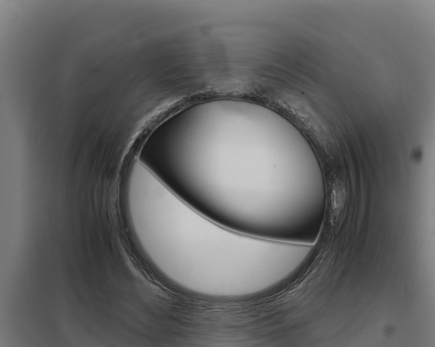 X0000098040492200803280757