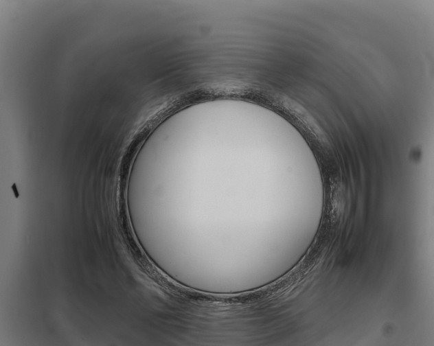 X0000098040494200803280757