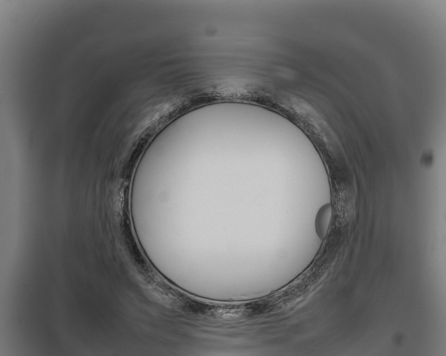 X0000098040495200803280757