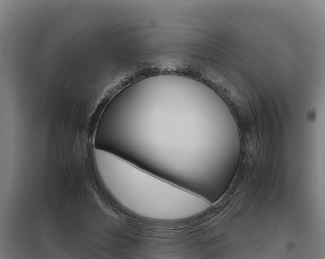 X0000098040496200803280757