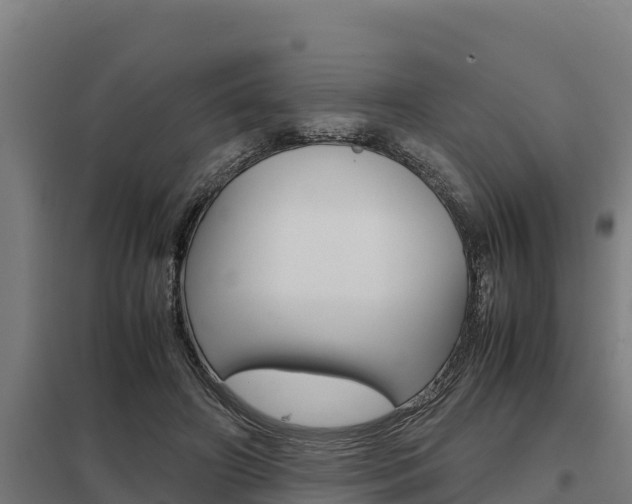 X0000098040498200803280757