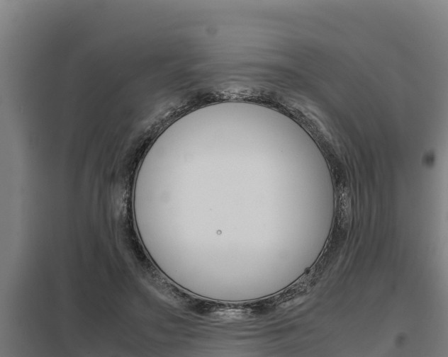 X0000098040499200803280757