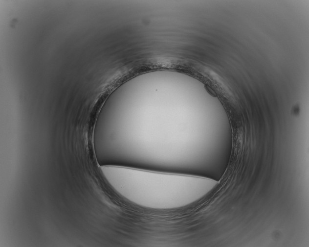 X0000098040500200803280757