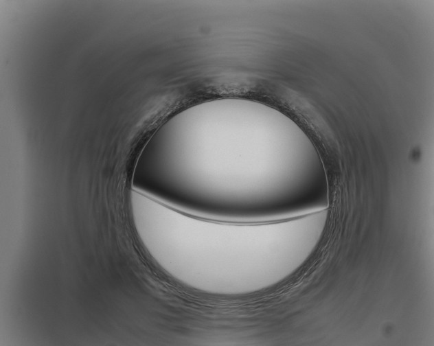 X0000098040501200803280757