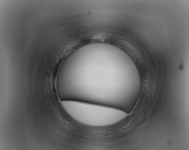 X0000098040504200803280757