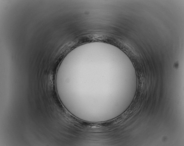 X0000098040506200803280757