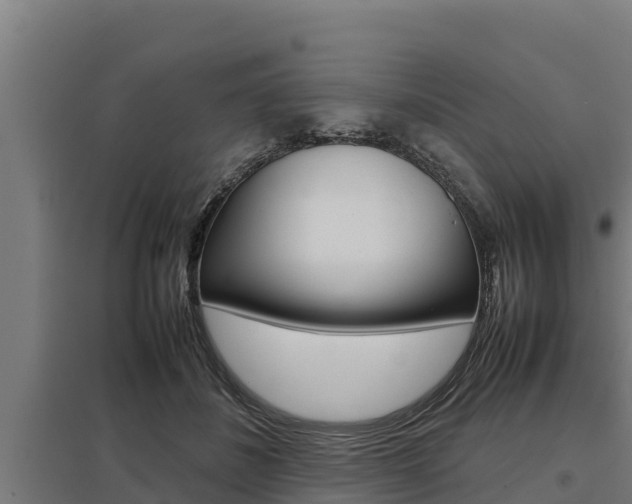 X0000098040508200803280757