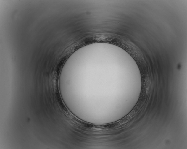 X0000098040510200803280757