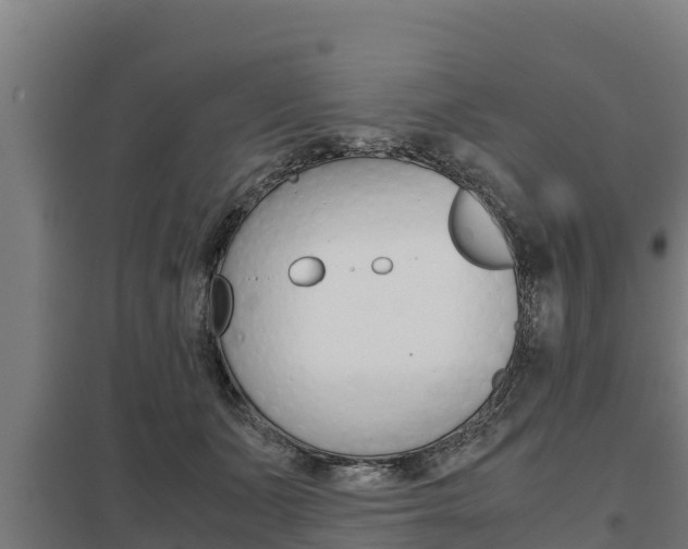 X0000098040511200803280757