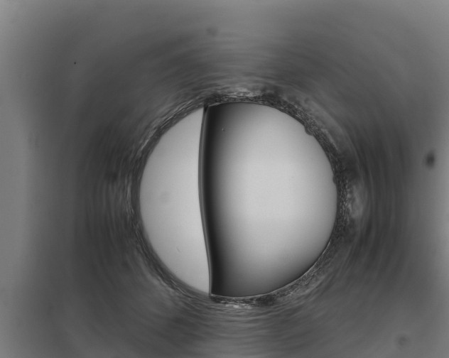 X0000098040512200803280757