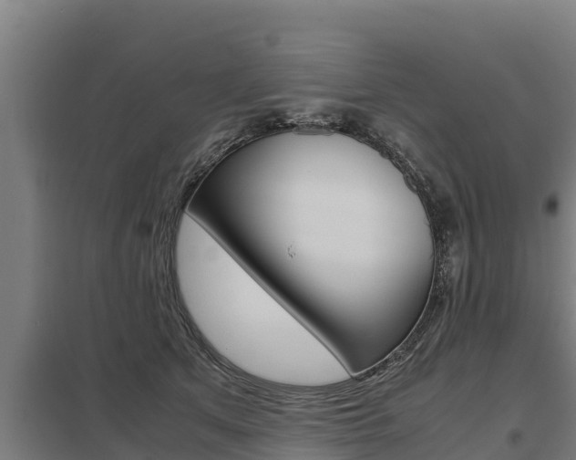 X0000098040513200803280757