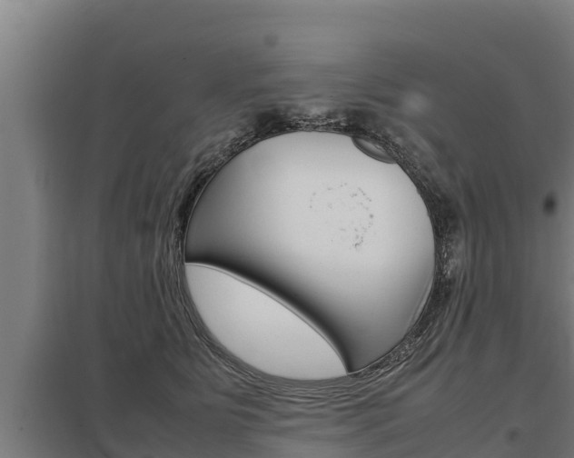 X0000098040515200803280757