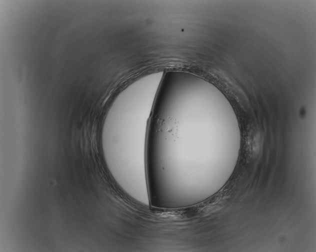 X0000098040516200803280757