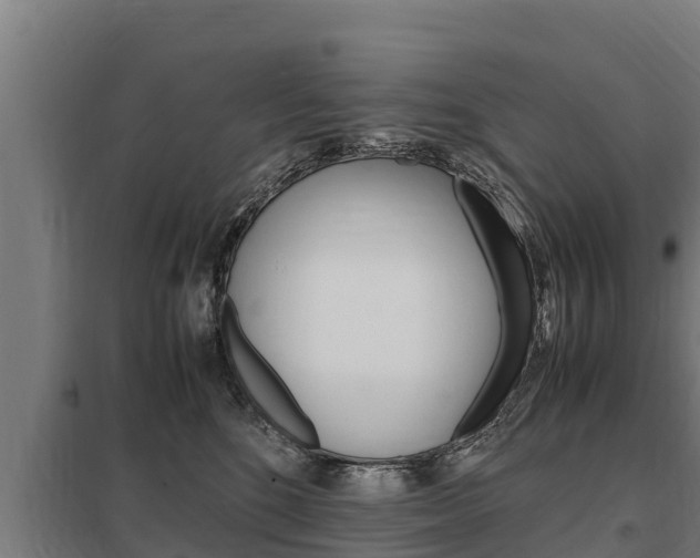 X0000098040520200803280757