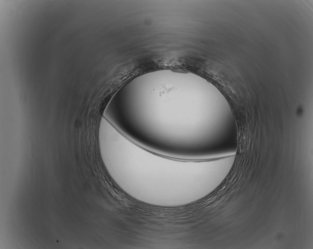 X0000098040521200803280757