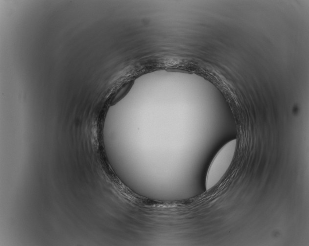 X0000098040524200803280757