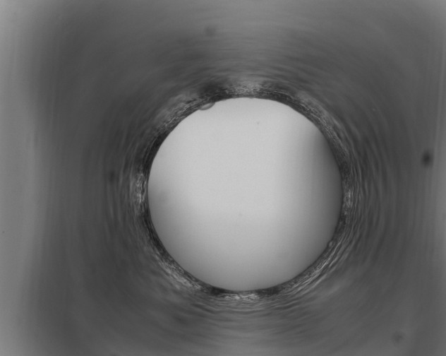 X0000098040525200803280757