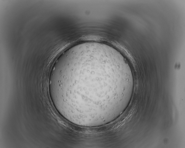 X0000098040529200803280756