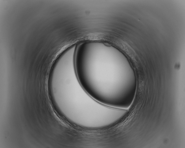 X0000098040530200803280756