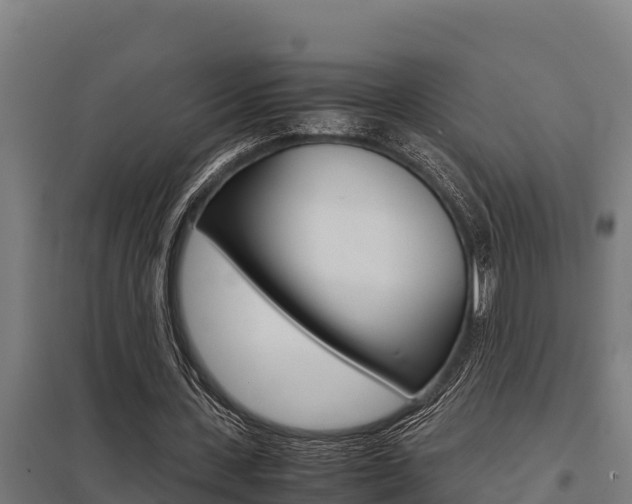 X0000098040531200803280756