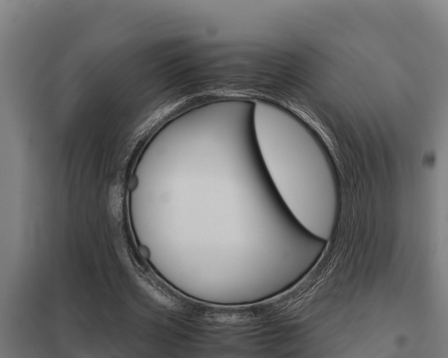 X0000098040533200803280756