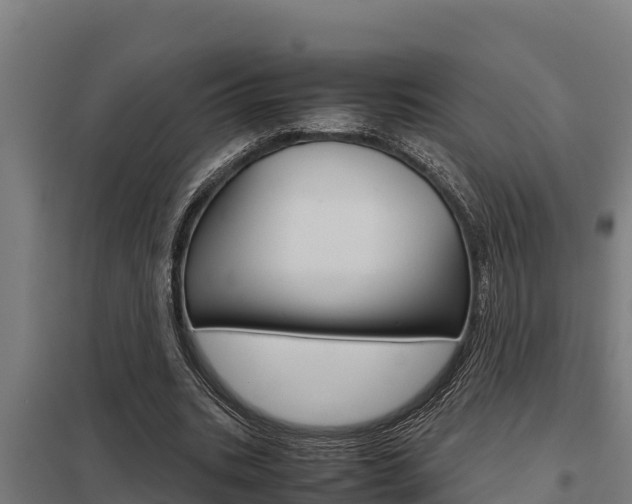 X0000098040535200803280756