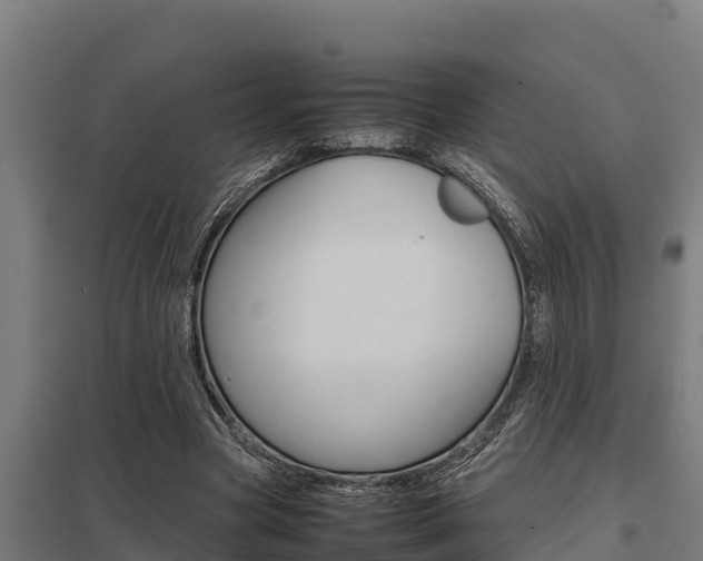 X0000098040537200803280756