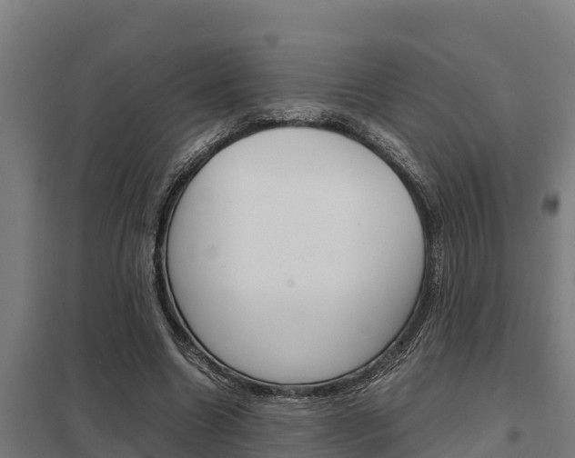 X0000098040538200803280756