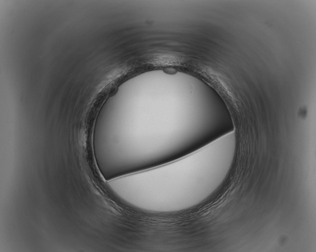 X0000098040539200803280756