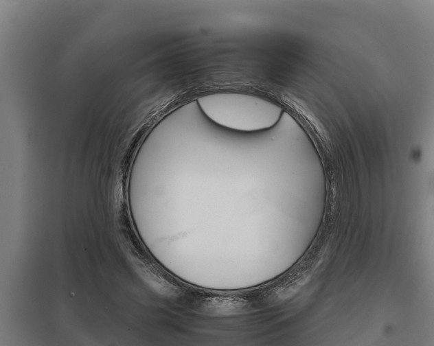 X0000098040541200803280756
