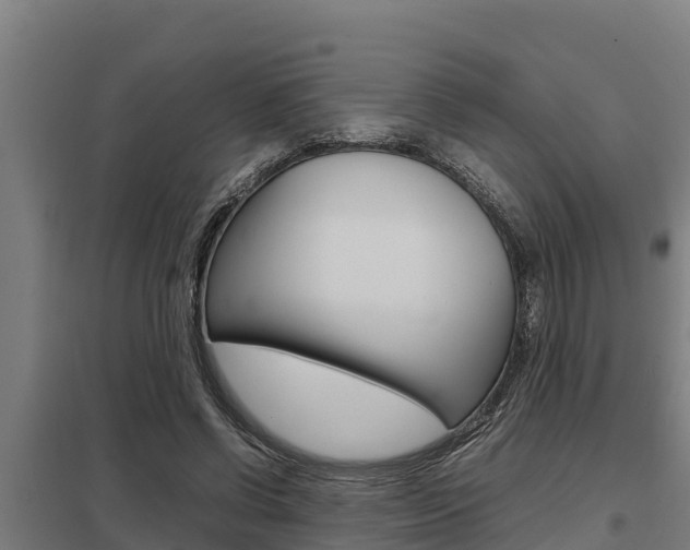 X0000098040542200803280756