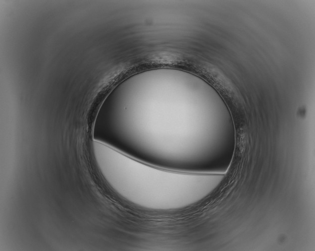 X0000098040544200803280756