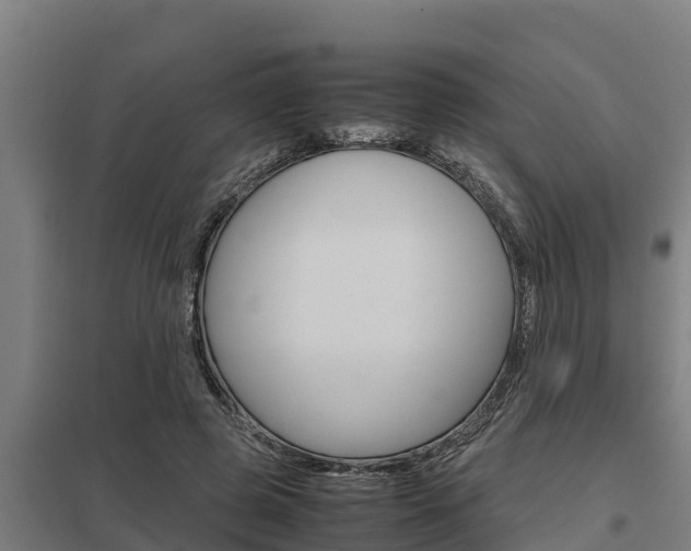 X0000098040545200803280756