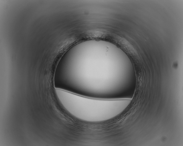 X0000098040546200803280756