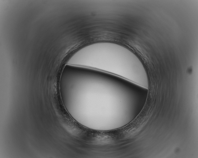 X0000098040547200803280756