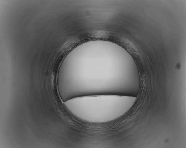 X0000098040550200803280756
