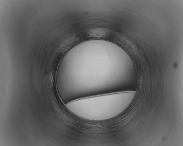 X0000098040551200803280756