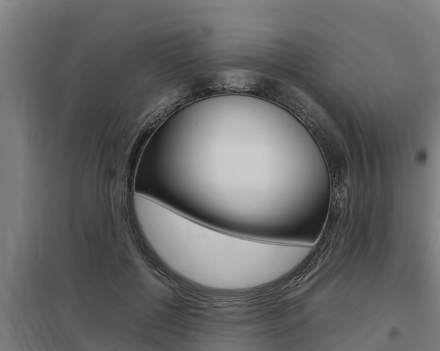 X0000098040552200803280756
