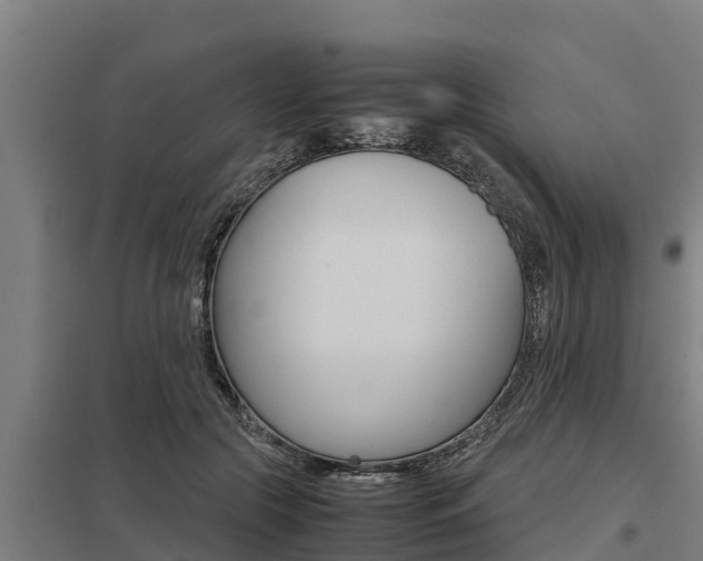X0000098040553200803280756