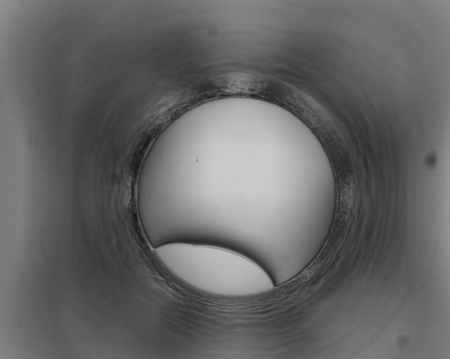 X0000098040554200803280756