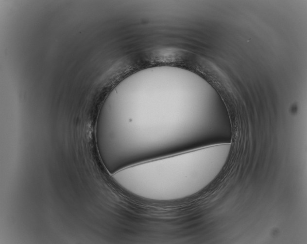 X0000098040555200803280757