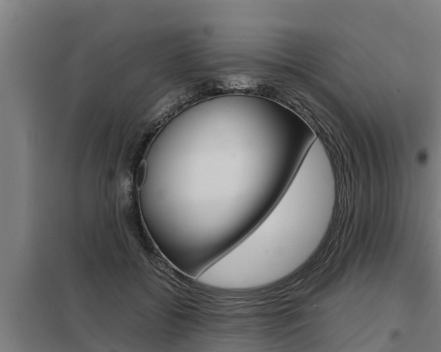 X0000098040556200803280757