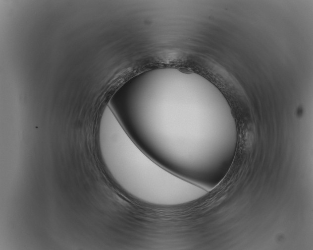 X0000098040558200803280757