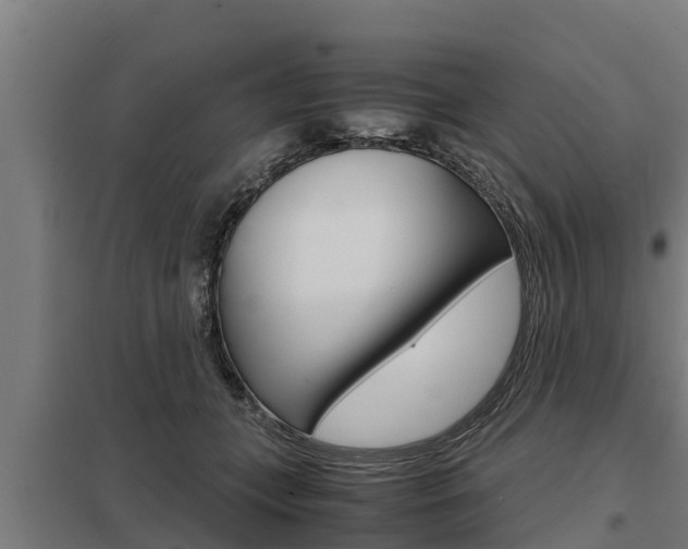 X0000098040559200803280757