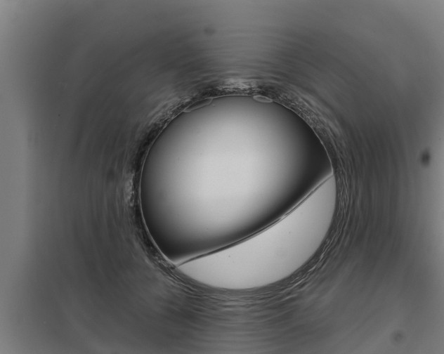 X0000098040560200803280757