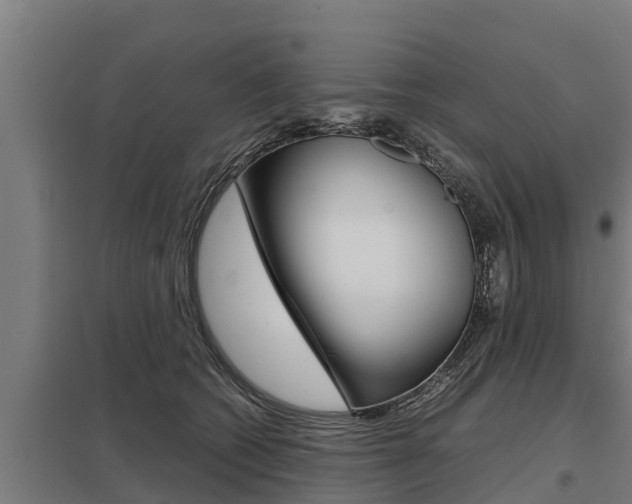 X0000098040562200803280757